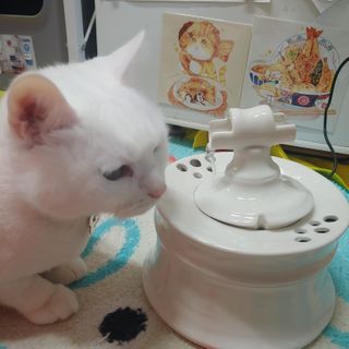 라온시연님이 올린 리뷰 사진 1