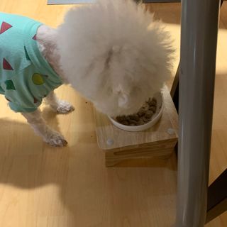 빙빙님이 올린 리뷰 사진 3