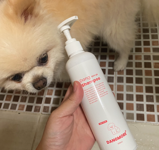 [댕모어 샴푸 2종] 댕샴푸 / 퍼피샴푸  2종 세트 (300ml) — 4.5점을 준 리뷰어가 2023년 10월 올린 사용 사진