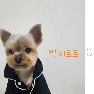 딸기맘님이 올린 리뷰 사진 3