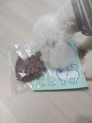 My Pet Care 천연단백질 눈건강에 개좋아 — 5점을 준 리뷰어가 2021년 1월 올린 사용 사진