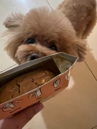코끼리님이 올린 리뷰 사진 3