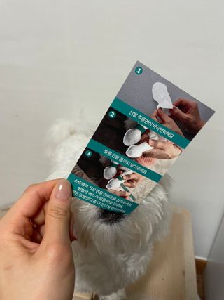 코보콩 에어슈즈 강아지 일회용 신발 소용량 패키지 20매 초경량  미끄럼방지 실내외 겸용 — 4.5점을 준 리뷰어가 2022년 2월 올린 사용 사진