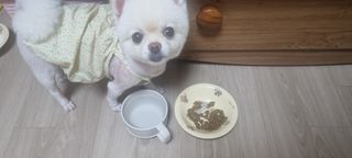 명샘님이 올린 리뷰 사진 4