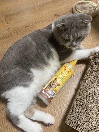 현민김님이 올린 리뷰 사진 1
