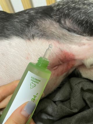또용님이 올린 리뷰 사진 2