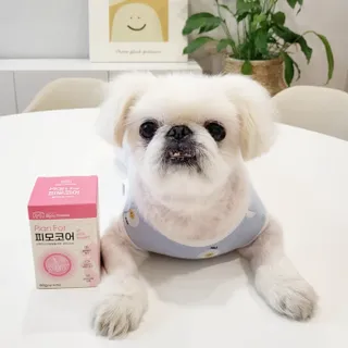 mini unni님이 올린 리뷰 사진 1