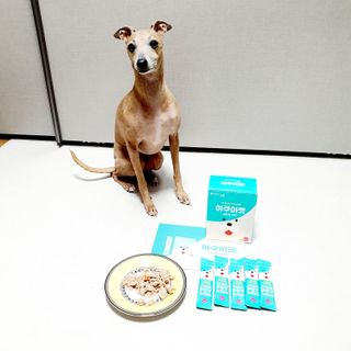 펫시랩 반려견용 액상 프리바이오틱스 아쿠아펫 — 5점을 준 리뷰어가 2021년 1월 올린 사용 사진