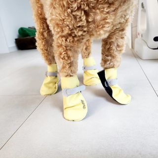 써니곰님이 올린 리뷰 사진 3