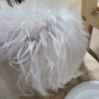 아형팬님이 올린 리뷰 사진 3