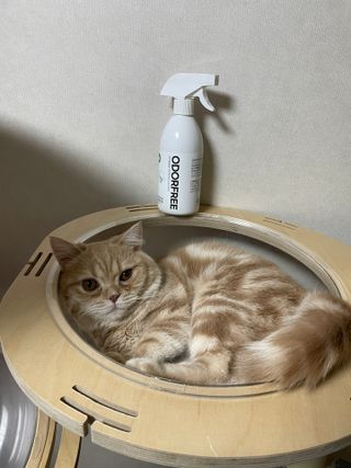 럽S하3님이 올린 리뷰 사진 3