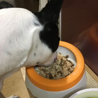 옴뇸뇸님이 올린 리뷰 사진 3
