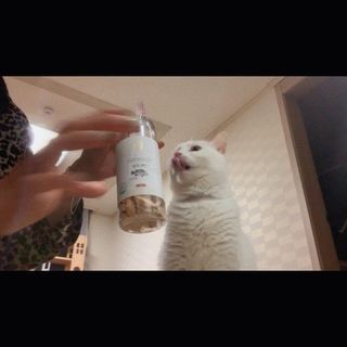 ㄹ진님이 올린 리뷰 사진 1
