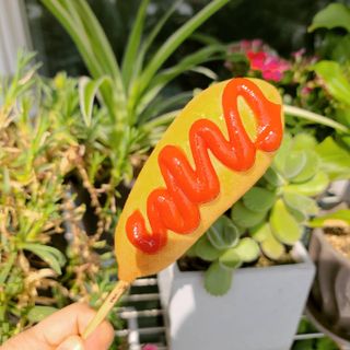 오마뎅 한우핫도그 — 5점을 준 리뷰어가 2021년 5월 올린 사용 사진