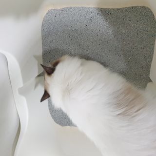 ssun0514님이 올린 리뷰 사진 2