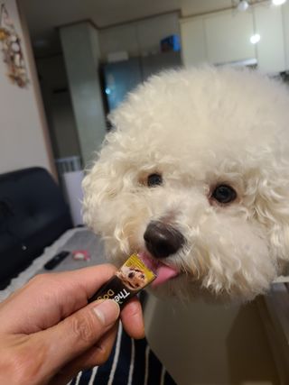 바다님이 올린 리뷰 사진 3