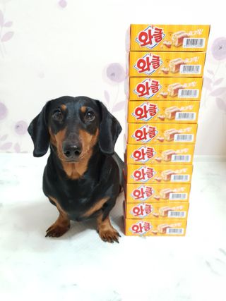 히이잇님이 올린 리뷰 사진 2