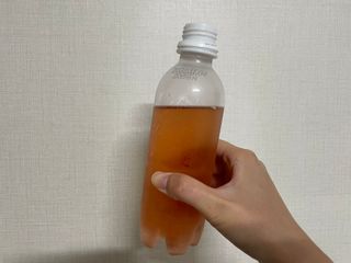 더그레잇티 콤부차 300ml *12개입 (오리지널 6개+베리리치 6개) — 5점을 준 리뷰어가 2022년 7월 올린 사용 사진