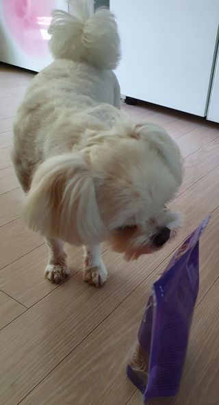 펫에이블 데일리바이트 키토 [비프], [치킨] — 5점을 준 리뷰어가 2021년 8월 올린 사용 사진