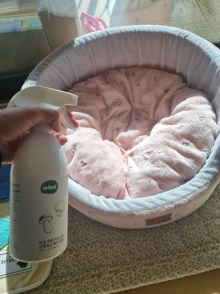 귀요미두공주맘님이 올린 리뷰 사진 3