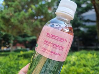 더그레잇티 콤부차 [매일유업] 더그레잇티 44kcal 콤부차 300ml *12개입 (오리지널 6개+베리리치 6개) — 5점을 준 리뷰어가 2023년 8월 올린 사용 사진