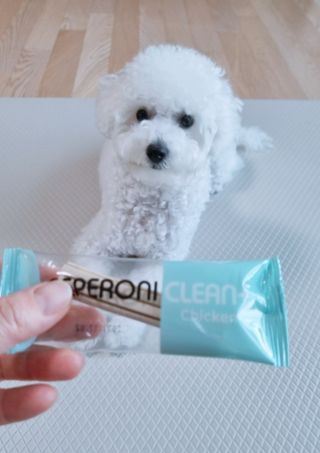 페페로니 클린플러스 덴탈치킨껌 10g x 14p — 5점을 준 리뷰어가 2021년 7월 올린 사용 사진