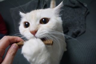 미랭님이 올린 리뷰 사진 3