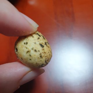 오리온 오징어땅콩의 짭짤고소 신제품, 구운김땅콩 — 5점을 준 리뷰어가 2022년 5월 올린 사용 사진