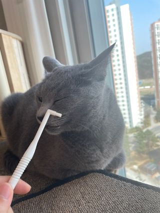 여온님이 올린 리뷰 사진 4