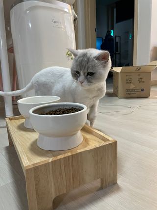 부먹부부님이 올린 리뷰 사진 3