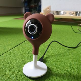 매실님이 올린 리뷰 사진 4