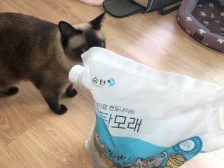 Criss님이 올린 리뷰 사진 1