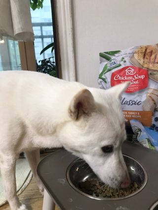 스쿰비님이 올린 리뷰 사진 1