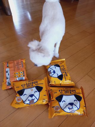 안심댕면 강아지라면 5봉지+쓰담쓰담 종합영양제 2스틱 샘플 증정 — 5점을 준 리뷰어가 2022년 8월 올린 사용 사진