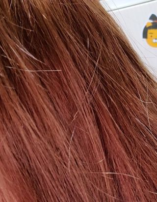 더마힐 헤어 컨디셔닝 샴푸 릴렉스 500ml — 5점을 준 리뷰어가 2021년 1월 올린 사용 사진