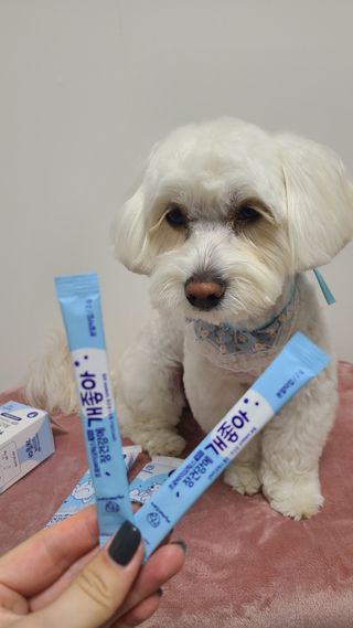 My Pet Care 장건강에 개좋아 — 5점을 준 리뷰어가 2021년 1월 올린 사용 사진
