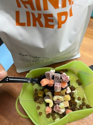 씽크라이크펫 큐브생식 1kg — 3.5점을 준 리뷰어가 2022년 11월 올린 사용 사진