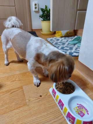 He님이 올린 리뷰 사진 3