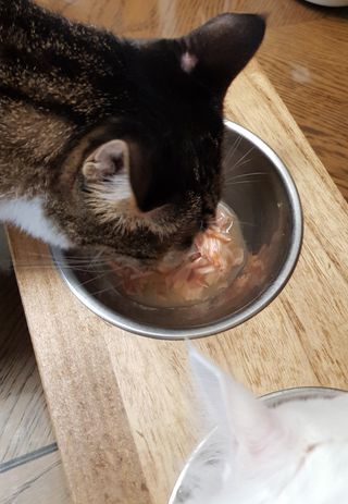 이설희님이 올린 리뷰 사진 3