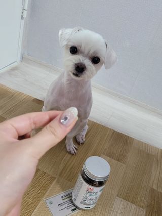 pussyess님이 올린 리뷰 사진 4
