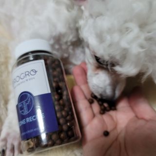 미르별님이 올린 리뷰 사진 1