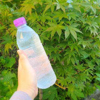 몽베스트 [MONTBEST]위드어스 500mL 20병 — 5점을 준 리뷰어가 2022년 9월 올린 사용 사진