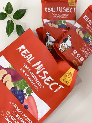 [푸디웜] 라포그  리얼인섹트 관절 저알러지 강아지 사료  1.2KG — 5점을 준 리뷰어가 2022년 8월 올린 사용 사진