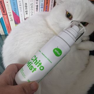 whol 키토미스트 150ml + 실리콘바디브러쉬  강아지 고양이 항균항바이러스, 강력탈취 피부 보습,무향 — 5점을 준 리뷰어가 2022년 9월 올린 사용 사진