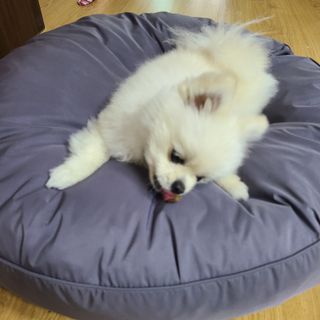 쏘쏘맘님이 올린 리뷰 사진 4