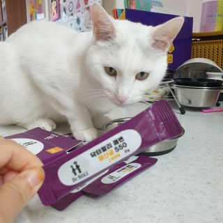 코코야옹님이 올린 리뷰 사진 1