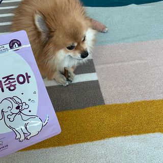 My Pet Care 천연단백질 치아건강에 개좋아 — 5점을 준 리뷰어가 2020년 12월 올린 사용 사진