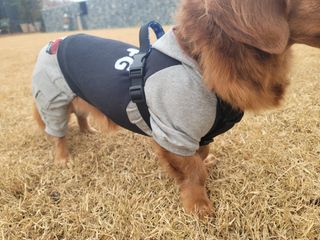 5_daks님이 올린 리뷰 사진 2