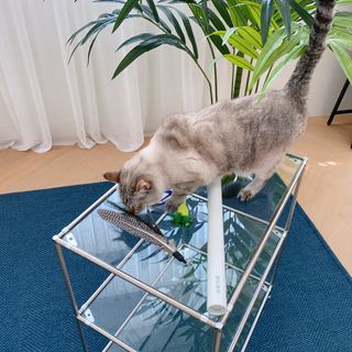 JinheePark님이 올린 리뷰 사진 2