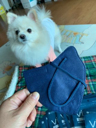 별이빛나길님이 올린 리뷰 사진 3